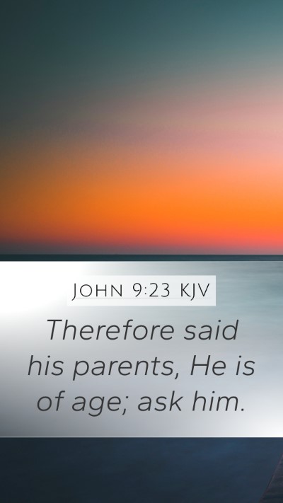 John 9:23 Explained