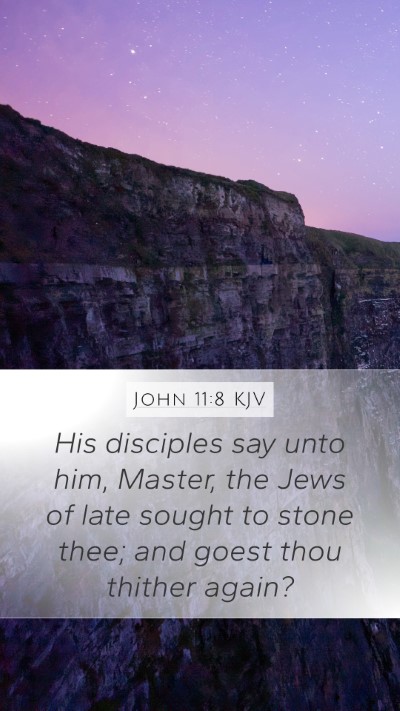 John 11:8 Explained