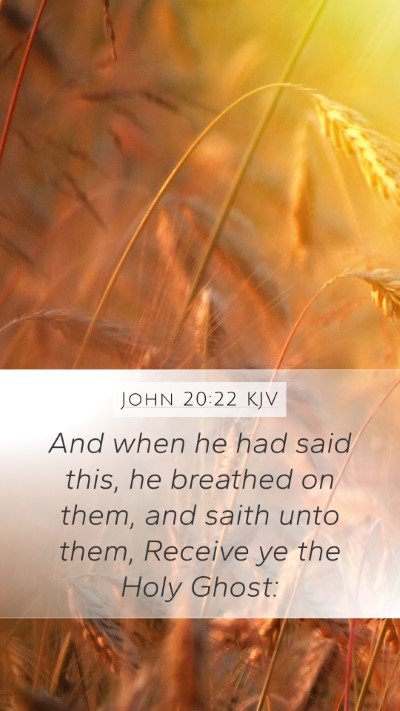 John 20:22 Explained
