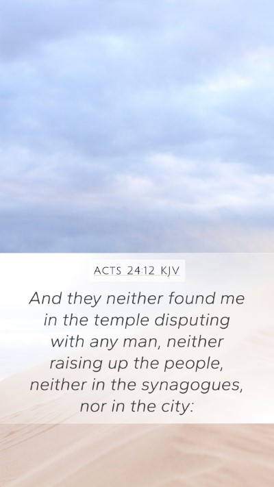 Acts 24:12 Explained