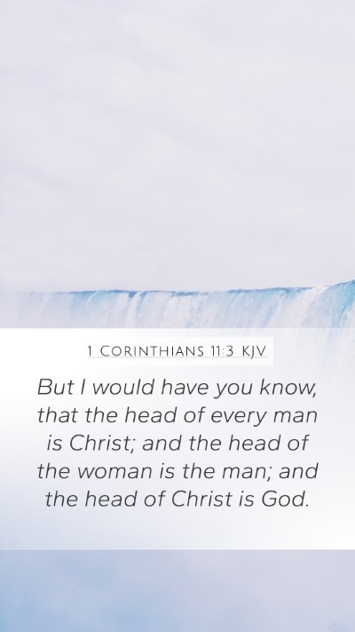1 Corinthians 11:3 Explained
