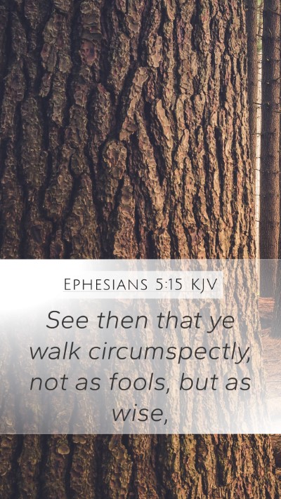 Ephesians 5:15 Explained
