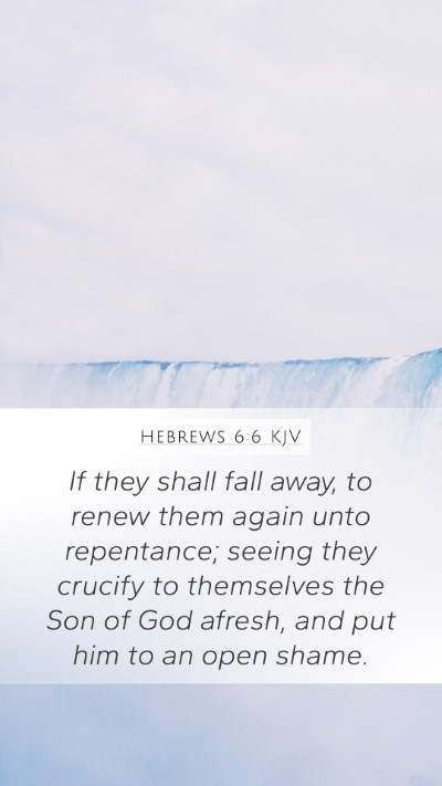 Hebrews 6:6 Explained