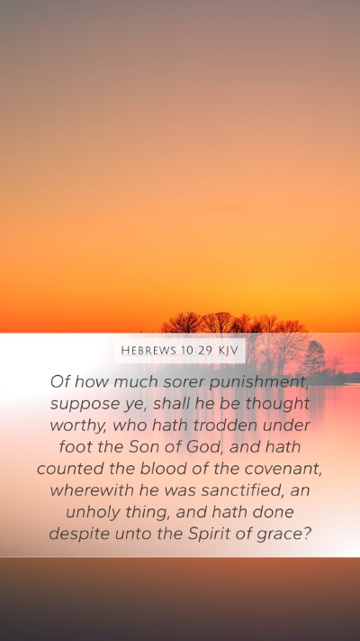 Hebrews 10:29 Explained