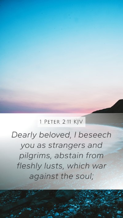 1 Peter 2:11 Explained