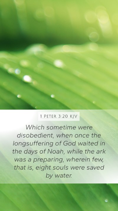 1 Peter 3:20 Explained