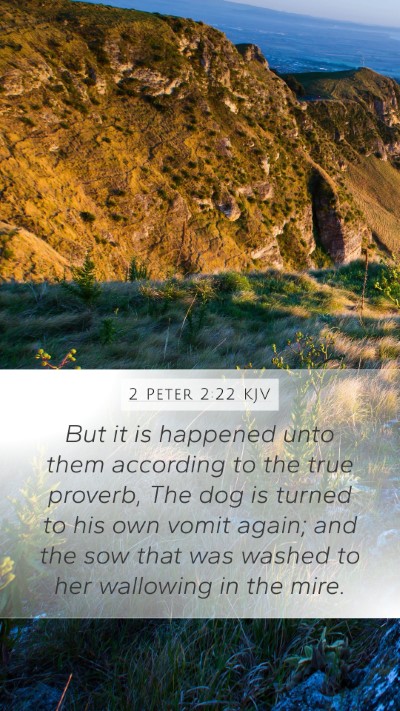 2 Peter 2:22 Explained