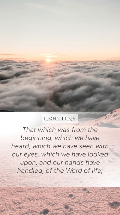 1 John 1:1 Explained