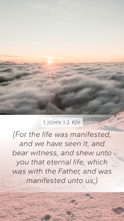 1 John 1:2 Explained