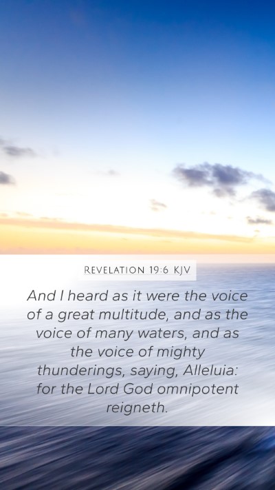 Revelation 19:6 Explained